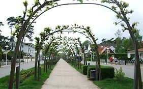 Sandburg 234 - a69707